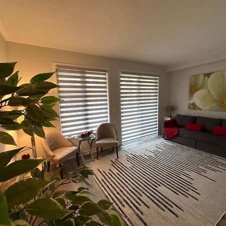 Modern Townhouse, Vaughan, Ontario, Canada מראה חיצוני תמונה